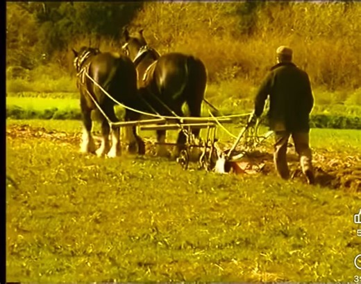 The Irish Farmer and his wife Ireland late 1960s early seventies | Irelands past in Motion