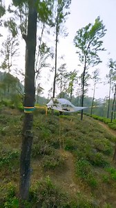 For those who love camping.. you can choose this style.. #outdoors #build #viral #shelter #outdoor #wildlife #bushcraft #foryou #survival #camp | Camping Lovers