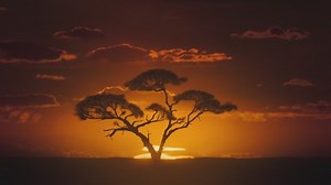 African Sunset Time Lapse Big Sun Stock Footage Video (100% Royalty-free) 1074329132 | Shutterstock