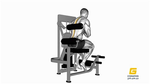 Lever Back Extension