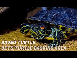 How to make TURTLE BASKING AREA - DIY SUPER EASY