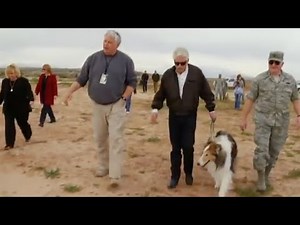 Lassie Returns to the Ruins of the Happy Bottom Riding Club