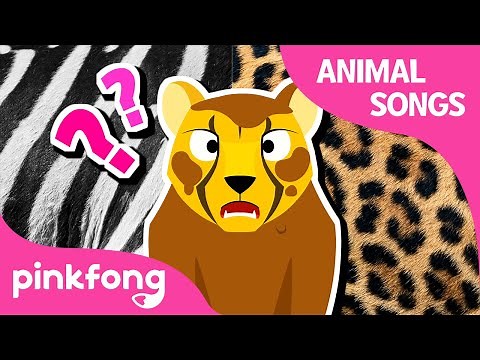 Did You See Cheetah’s Pattern? | Animal Songs | Learn Animals | Pinkfong Animal Songs for Children