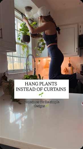 THERE IS A REASON THIS WENT VIRAL 👇 HANG PLANTS instead of curtains 🙌 I’ll say it all day EVERYDAY! It’s SIMPLE yet beautiful! If you have a kitchen window… or ANY WINDOW… plants are a GREAT WAY TO ADD interest & WARTH in any space 🪴 #kitcheninspiration#houseplants#plantinspiration#homeinspiration#homeinspo | Sarah Troop•Southern Sand Interiors