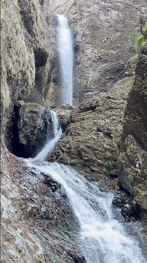 竜化の滝🌊迫力の水量と滝音 | Waterfall in Japan #shorts