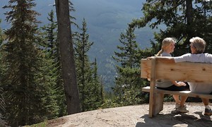 Bear Market? Don’t Panic. Here’s How To Invest During One - NerdWallet