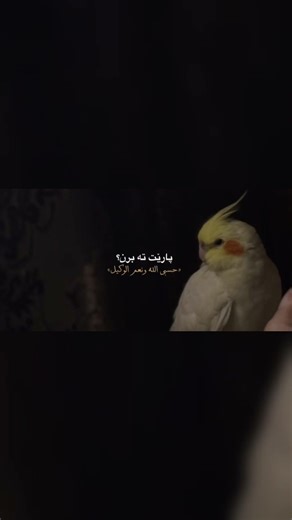 🩶✨#today #yesterday #tmorrow