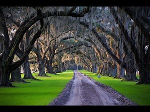 Tomotley Plantation: Historic ACE Basin Rice Plantation w/ World-Class Duck Hunting & Elegant Estate