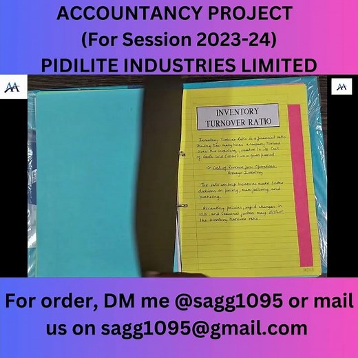 Accountancy Project Pidilite Industries 2023-24 #accountancyclass12 #class12project #accounts
