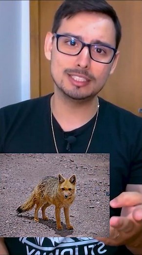 🎮Conheça a engine Construct3! - Studway #gamedev #construct3