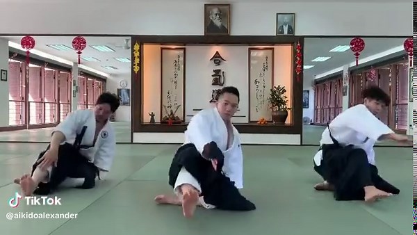 Learn Aikido Ukemi Techniques for Safe Falling