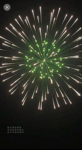 #fireworks #fireworksdisplay #pyro #pyrotechnics