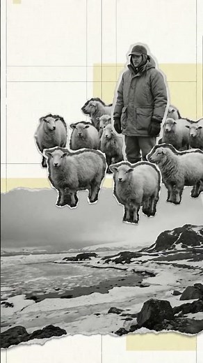 Why Britain Almost Lost the Falklands #history #warstrategy