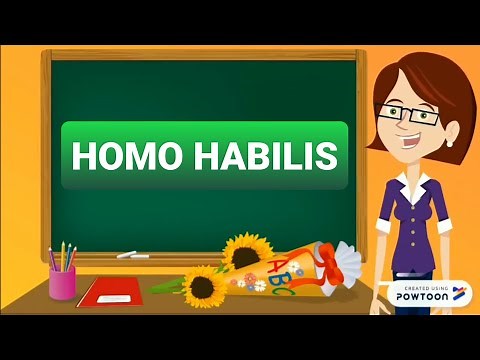 Homo Habilis - Scuola Primaria