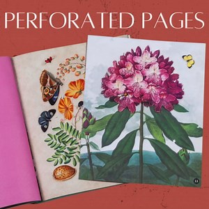 Publications International Ltd.