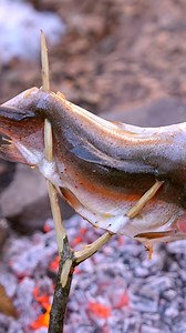 Fresh fish. Real fire. Ice-cold atmosphere. We grilled a whole fish right by a frozen lake — and it came out unbelievably crispy outside, tender inside. 🔥 Classic campfire fish recipe ❄️ Cooking in freezing temps = extra flavor 🐟 No foil, no pan — just fire & finesse This is the kind of winter cooking you never forget. 💬 Would you eat this by the fire? #FireGrilledFish #CampfireCooking #FrozenLakeRecipe #FishOverFire #WinterCooking | Cook Loop