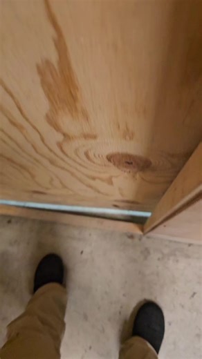 Funny Cat Greetings from Jimmy This Morning