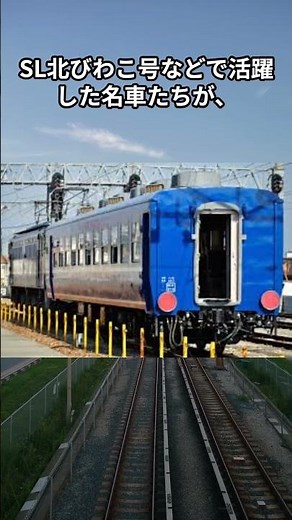 🚂 "The legend of blue returns" -- The "Blue Train formation" is back on the Oigawa Railway!