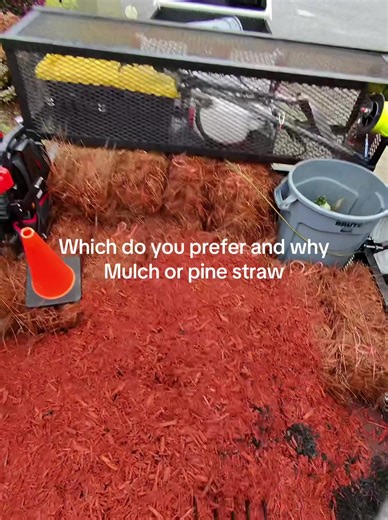Pine straw imo #lawncare #satisfying #lawnmaintenance #mulch #pinestraw