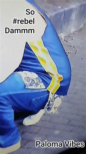 #rebel #trowback #2015 der Mate #graffiti #artist since #1997 Paloma Vibes