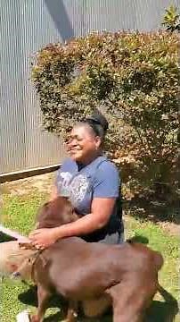 Lost dog reunited with owner