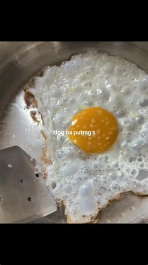 Egg-Inspired Meal Ideas for Everyone