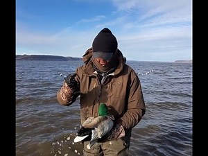 The REAL DeCOY - Light & Lethal DeCOYS