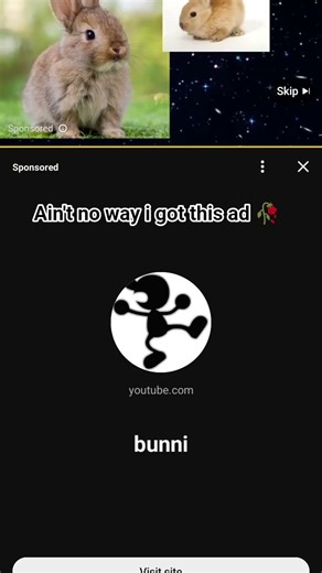 I got the bunni ad 💀