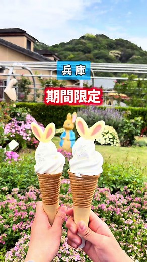 詳しくはここ👇 イングランドの丘の イングリッシュローズガーデンの一部が ピーターラビット™の絵本をイメージした世界に🌿 入場料だけで楽しめて めっちゃ可愛い〜🐰💓 イングランドの丘は 敷地が甲子園14個分も！ 広いから人が多くても分散されて 休日でも並ぶことなくのんびり過ごせたよ☺️ 園内を無料バスが走ってるから 移動もらくらくやし アトラクション気分で楽しい🥰 入り口で売ってる「遊具チケット」が 3,000円で3,500円分使えてお得🉐 乗り物や遊びを満喫するなら 最初に買ってね🎟️ ピーターの世界観や 映えスポットもたくさんあって 子供だけじゃなく 大人も大満足の1日でした📸 アソビューで入園料大人200円引き こども半額になるよ💡 さらに兵庫県の小中学生は ココロンカードや のびのびパスポートで無料に🙌 淡路ファームパーク イングランドの丘 📅 「ピーターラビットフラワーガーデン」：10月5日(月)まで ＠peterrabbit.jp 📍 兵庫県南あわじ市八木養宜上1401 🚗 神戸から車で約1時間 🎟️ 大人：1500円 / 小人：400円 #pe
