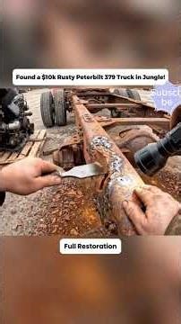 Found a $10K Abandoned Peterbilt 379 in Jungle 😱 Full Restoration!