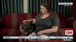 356K views · 1.7K reactions | Irgo, the dog mistakenly flown to Japan...