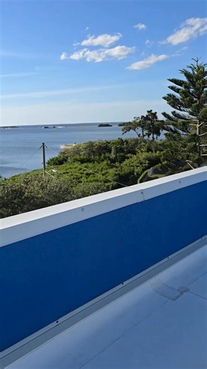 Kim Adams, Real Estate Agent on Reels