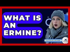 What Is An Ermine? - Polar Regions Uncovered