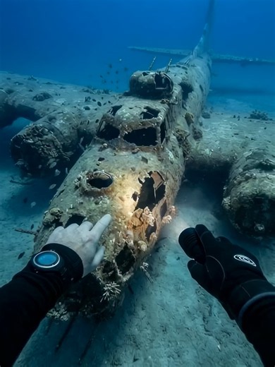 (🚢Unknown Titanic 🚢 ) Diver’s camera captures alien underwater part023 #mermaid #gorgon #find #horrormovie #scary #alien#underwaterwelding #diver #camera#creature#reef #coral#fish#depth#terrifying#mystery#fear#spookytok#paranormal#darkness#ocean#eerie#thriller#sinister#abyss