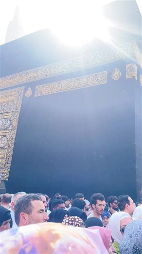 #Yassin #TikTok #@❤️দুষ্টু পরী ❤️মিষ্টি মেয়ে❤️ @💞niha💞 akter @মেঘলা মাহি ❤️‍🩹🥹 @🇧🇩★彡[ᴍᴅ.ᴍᴏꜰɪᴊᴜʟ ɪꜱʟᴀᴍ]彡★🇸🇦