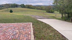 13K views · 1.7K reactions | I WILL MISS THESE. My wife Deb is an...