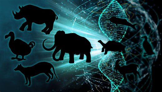 De-Extinction: Should We Bring Extinct Species Back From The Dead?