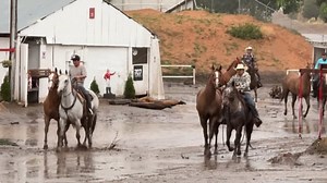'Water was roaring': Ruidoso Downs horsemen scramble to help horses trapped at flooded track