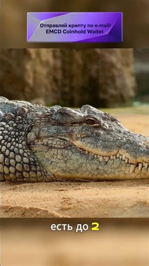 10 interesting facts