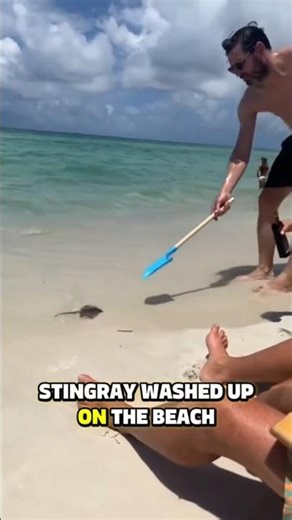 ​HE THOUGHT HE WAS SAVING IT... THEN THIS HAPPENED! 😱