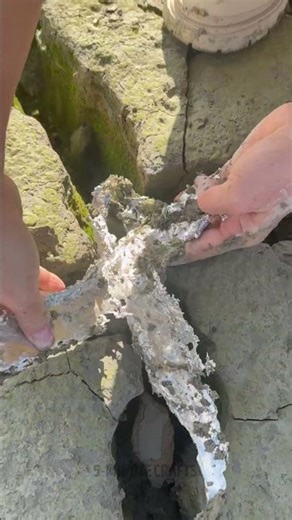 This experiment 🫢 with metal and soil is wild ✨