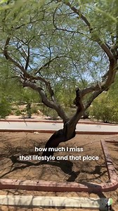 Have you ever heard of Neot Smadar? A desert oasis of art and life Ever wondered what it’s like to live where creativity meets the desert? Neot Smadar is just that—an inspiring Israeli community where art, sustainability, and beauty come together. From tea-making to meditation, David’s journey here is one of peace and purpose. And the best part? You can bring their artistry into your home through Lev Haolam. 🌿 Explore this unique oasis with us—35% OFF now, just in time for Passover! Connect wit