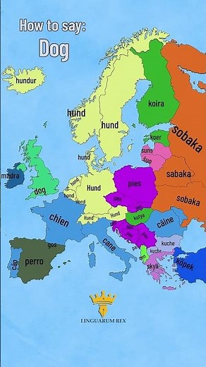 How to say Dog in Different Languages | European Languages Comparison