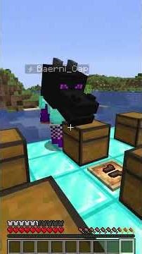 Split or Steal gegen ‪@baernicap‬