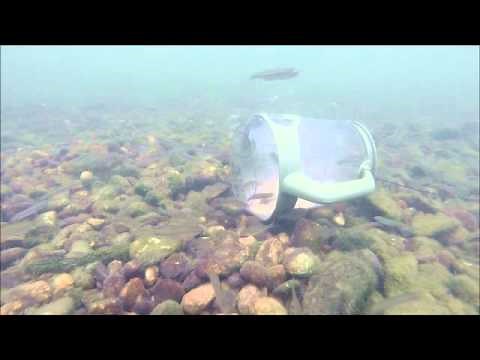 piege a poisson caperlan decathlon