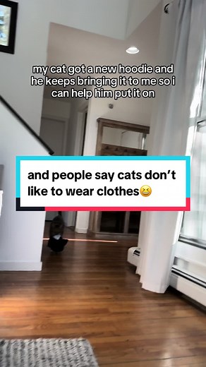 Loki Cat-Sized Hoodie | Cute and Funny Cat Merchandise