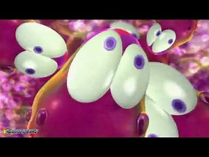 Blips Episode #2 Popstar