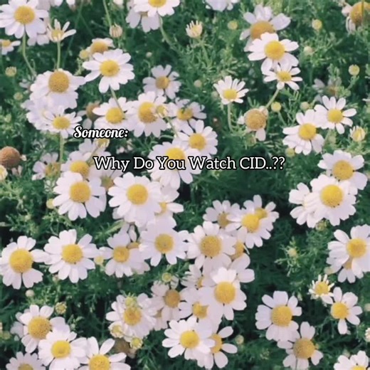 For Their Love Storyyyyy...😭💌✨ . . . . . . . . .. . . . . . . . . . . . #like_repost #plsforyou #viral #tiktok #fyp @TikTok