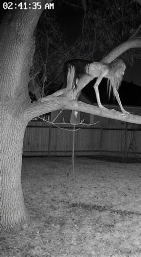 #horror #scary #ai #funny | Phoenix ASMR