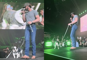 Riley Green’s Dog Carl Has Been The Star Of His ‘Ain’t My Last Rodeo’ Tour So Far | Whiskey Riff